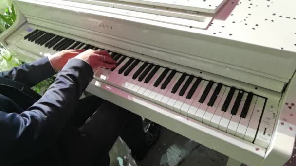 Zongorista kezek közelsége szakmailag zongorázik — Stock videók