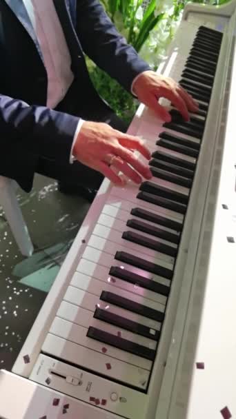 Piyanistlerin yakın çekimleri profesyonel olarak piyano çalar. — Stok video