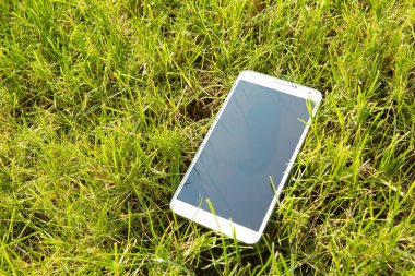 izole ekran çim zemin üzerine beyaz smartphone