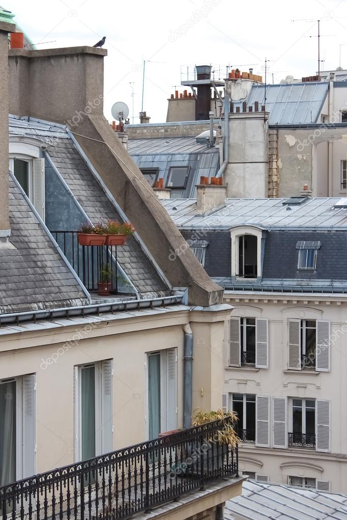 view over the roofs of Paris