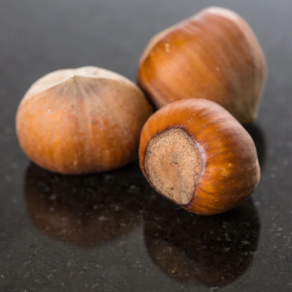 Forest nuts hazelnuts — Stock Photo, Image