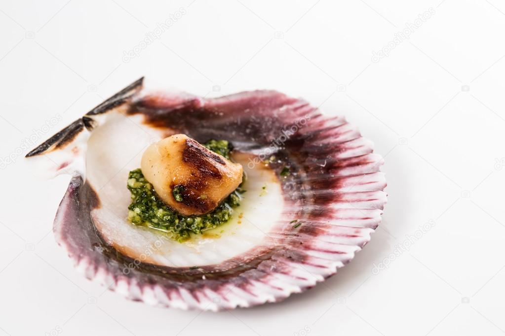 Studio closeup of seared scallops