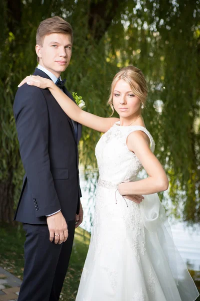 Hermosa pareja de boda — Foto de Stock