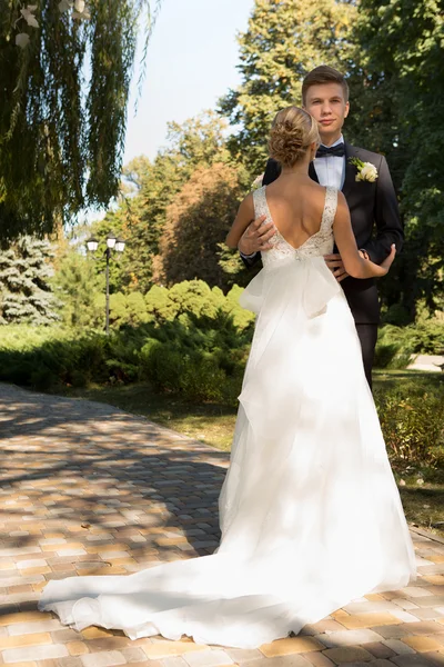 Beautiful wedding couple — Stock Photo, Image