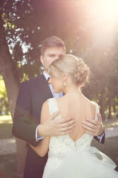 Schönes Hochzeitspaar — Stockfoto