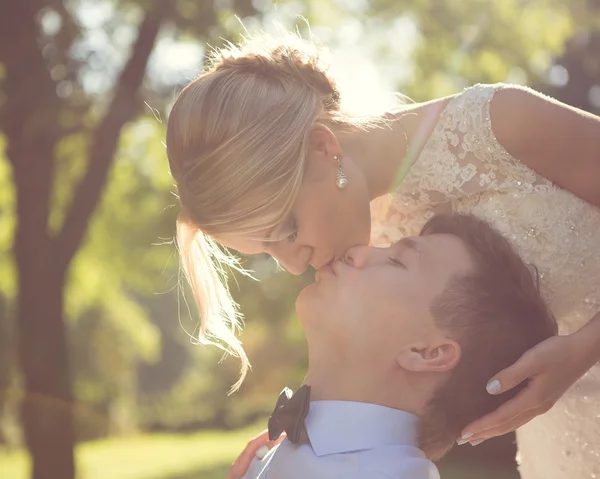 Hermosa pareja de boda — Foto de Stock