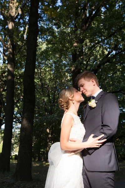 Beautiful wedding couple — Stock Photo, Image