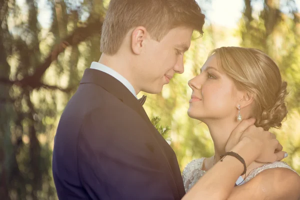 Beautiful wedding couple — Stock Photo, Image