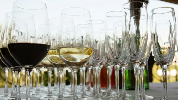 Glasses of wine at the bar — Stock Photo, Image