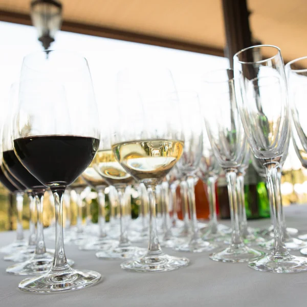 Glasses of wine at the bar — Stock Photo, Image