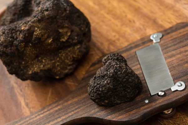 Delicacy mushroom black truffle — Stock Photo, Image