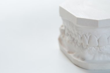 Alçı model beyaz bir arka plan üzerinde insan çene.