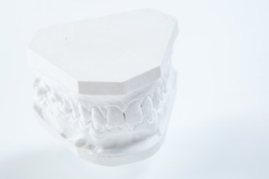 Alçı model beyaz bir arka plan üzerinde insan çene.