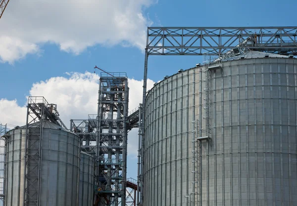 Towers of grain drying enterprise at sunny day — Stock Photo, Image