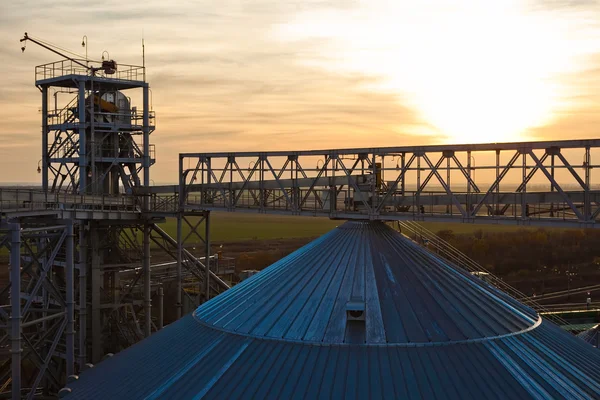 Torres de la empresa de secado de granos en el día soleado — Foto de Stock