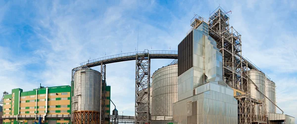 Towers of grain drying enterprise at sunny day — Stock Photo, Image