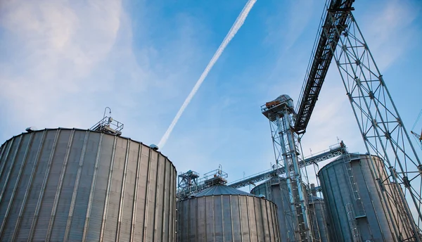 Towers of grain drying enterprise at sunny day — Stock Photo, Image