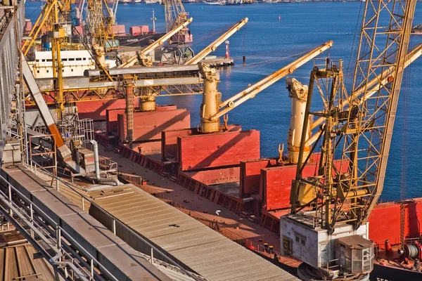 Korn från silos lastas ombord på lastfartyget på transportband — Stockfoto