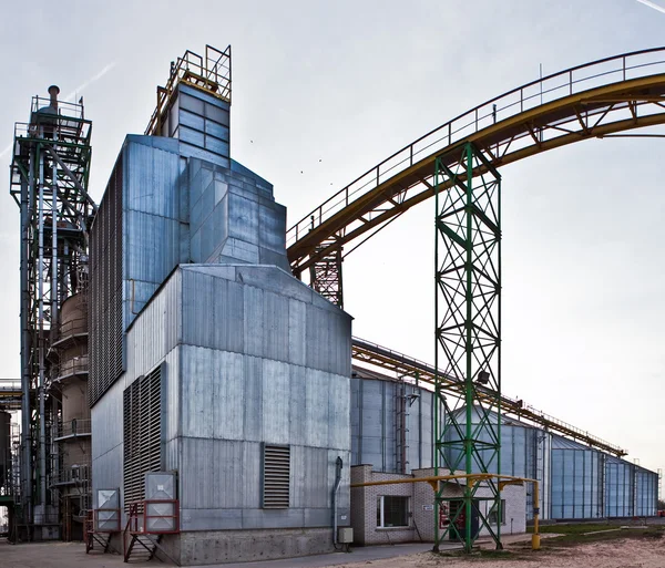 Towers of grain drying enterprise at sunny day — Stock Photo, Image