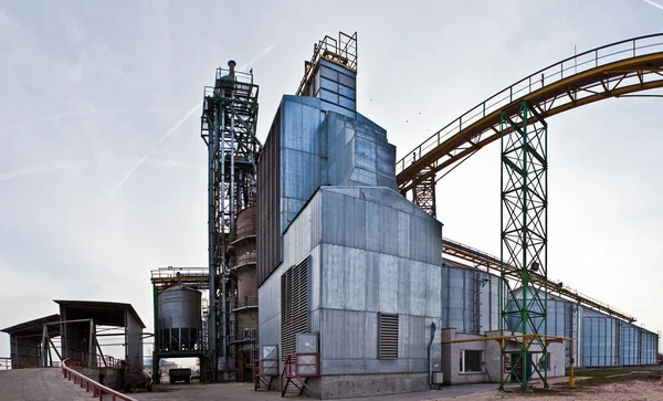 Towers of grain drying enterprise at sunny day — Stock Photo, Image