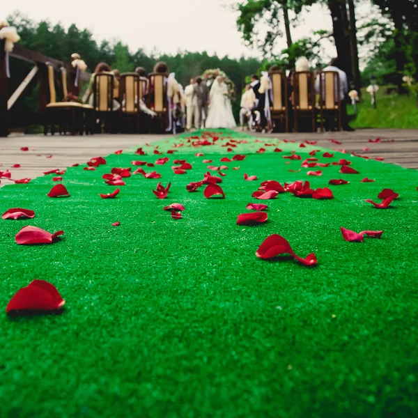 Весільна церемонія в прекрасному саду . — стокове фото