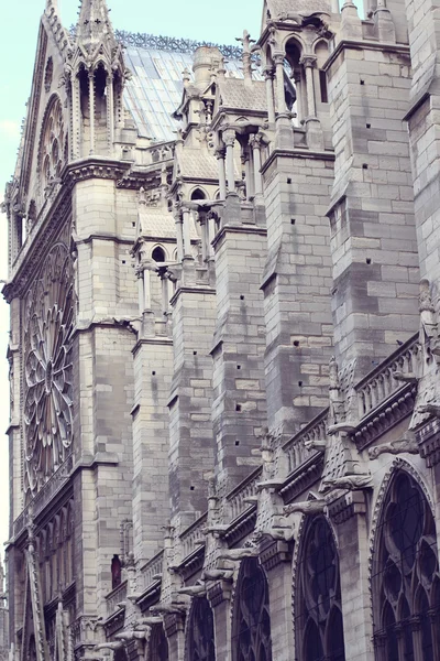 Detale architektoniczne, Katedra notre Dame de paris. — Zdjęcie stockowe