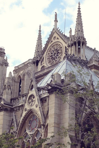 Architectural details of Cathedral Notre Dame de Paris. — Stock Photo, Image