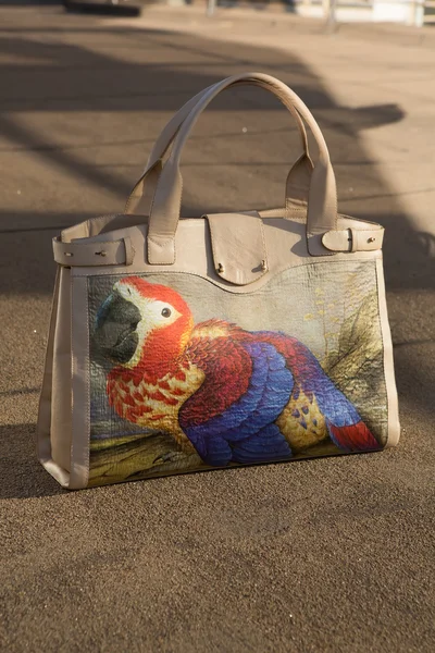 Women bag with color print — Stock Photo, Image