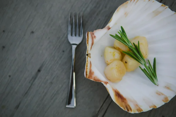 Delicious sea scallop — Stock Photo, Image