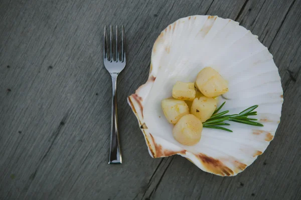 Delicious sea scallop — Stock Photo, Image