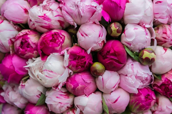 Buquê de peônia rosa. Padrão floral . — Fotografia de Stock