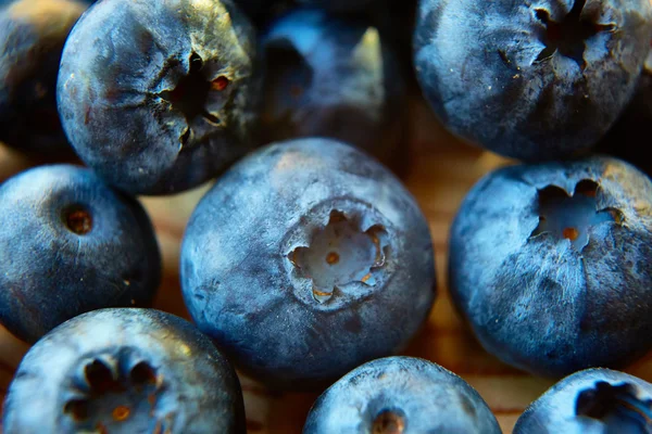 Frisch gepflückte Blaubeeren — Stockfoto