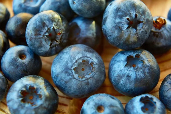 Frisch gepflückte Blaubeeren — Stockfoto