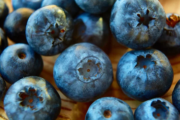 Frisch gepflückte Blaubeeren — Stockfoto