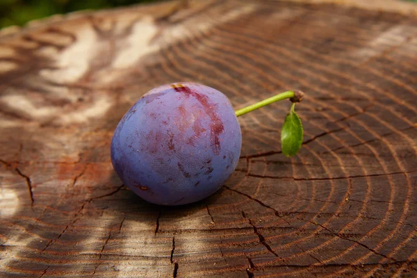 Fresh plum on wooden table — Stock Photo, Image