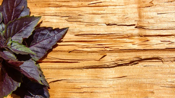 木製の背景に赤いバジルの葉. — ストック写真