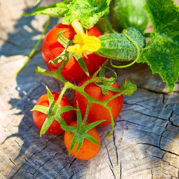 有機きゅうりとトマトの健康的な食事の概念 — ストック写真