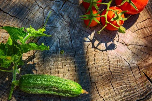 Pojęcie zdrowe odżywianie ogórek organiczny i pomidory — Zdjęcie stockowe