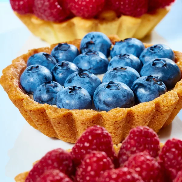 Fruit tartlets with raspberries and blueberries — Stock Photo, Image