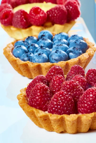 Fruit tartlets with raspberries and blueberries — Stock Photo, Image