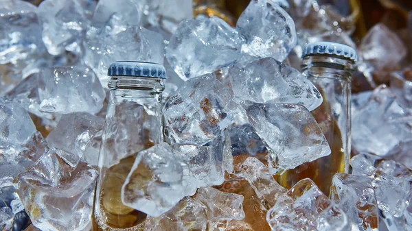 Garrafa de cerveja está no gelo — Fotografia de Stock