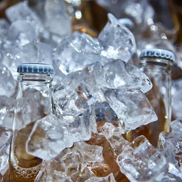 Bottle of beer is in ice — Stock Photo, Image