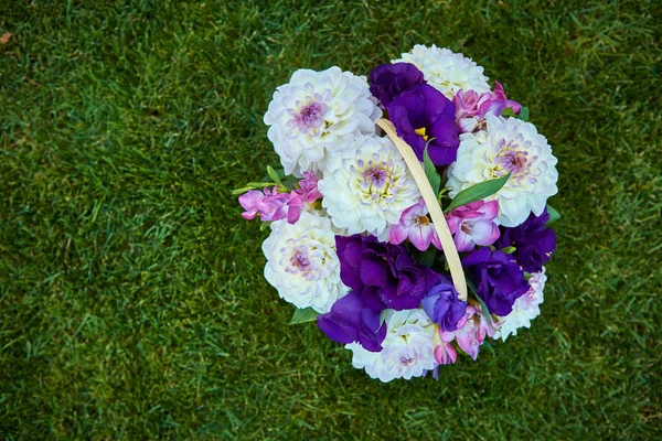 Vackra blommor i en korg — Stockfoto