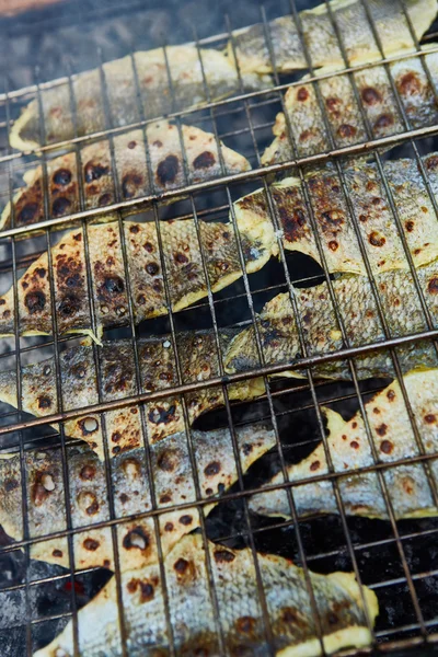 Grilling fish on campfire — Stock Image Grilling fish on campfire Royalty Free Stock Images