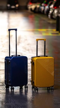 İki bavul seçenekleri ya da ortaklığı temsil eder. Modern yolculuk, iş hayatı dengesi ve yeni başlangıçlar için bir konsept..