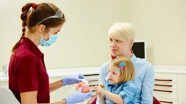 Kinderzahnärztin erklärt der jungen Patientin und ihrer Mutter das Modell — Stockfoto