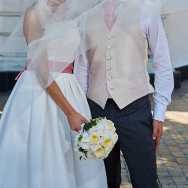 Elegant bride and groom posing together clipart