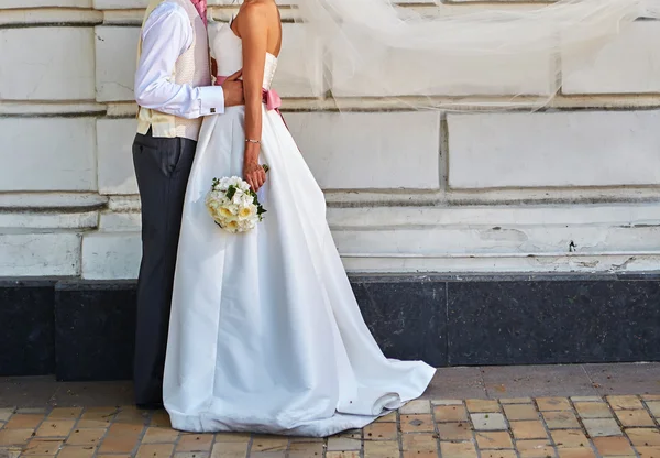 Elegante novia y novio posando juntos — Foto de Stock