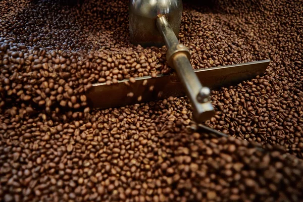 Freshly roasted coffee beans — Stock Photo, Image