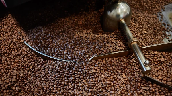 Frisch geröstete Kaffeebohnen — Stockfoto